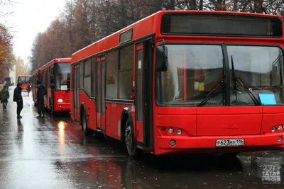 Сургутские власти прояснили ситуацию с новыми автобусами - Новостной портал  