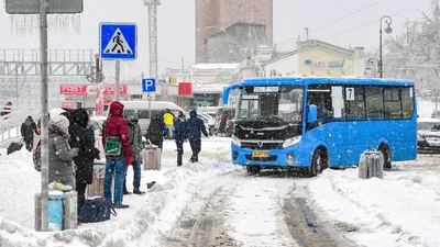 Власти Ростова пообещали решить проблему с автобусами №25