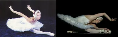 Балетная пачка с рукавами-балеринами, романтическое платье для балерины,  сценические костюмы, фиолетовые пачки для девочек и женщин, 19500 |  AliExpress