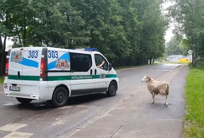 Тор на троне с двумя баранами и …» — создано в Шедевруме