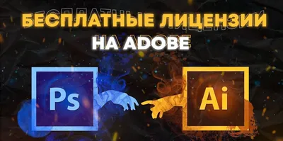 Adobe - лицензии бесплатно #Халява #Бесплатно | Datadrag0n - Халява и схемы  | Дзен