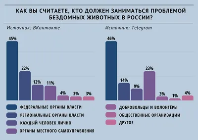 Бездомные животные - стерилизация животных, животных в Харьковской области  | Комментарии.Харьков