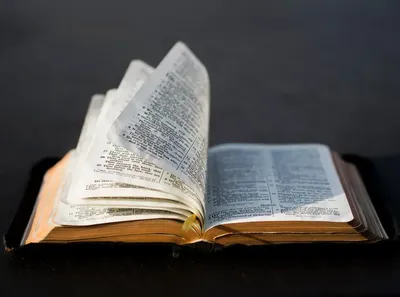 Американские исследователи определили самый популярный библейский стих в  мире - Азбука новостей