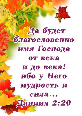 Пин от пользователя Христианские открытки на доске Времена года |  Христианские цитаты, Библейские цитаты, Библейские стихи