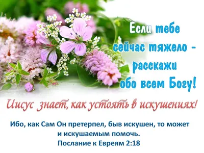 Какой праздник  — отмечаем Международный день Библии — цитаты  для мотивации из Священного Писания — библейские открытки на украинском