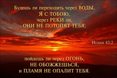 Слава Господу Саваофу ! Стих из Библии. | Христианские картинки, Доброе  утро, Библейские цитаты