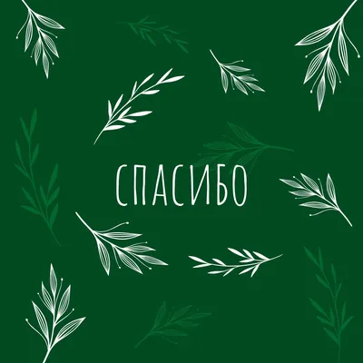 Темно-зеленая открытка с благодарностью, крупным словом "спасибо" в центре  и нарисованными веточками | Flyvi