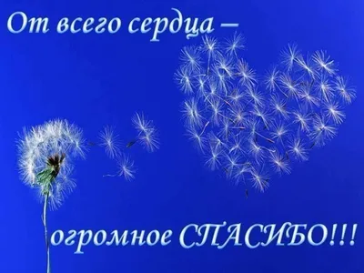 Благодарность за благотворительную помощь, оказанную ООО «МТсК»!