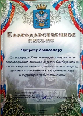 Александр Зеленский получил благодарность за оказанную помощь детскому саду  | Официальный сайт органов местного самоуправления