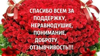 Благодарность за оказанную помощь в ликвидации последствий ЧС | ПАСФ ЭКОСПАС