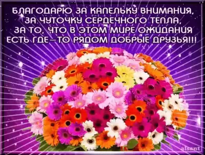 Торт с благодарностью! - заказать по цене 1300 руб. за 1кг с доставкой в  Муроме