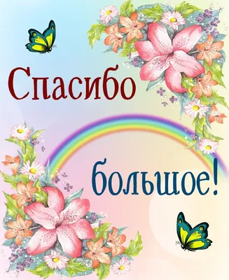 Торт с благодарностью учителям на заказ по цене 1050 руб./кг в кондитерской  Wonders | с доставкой в Москве