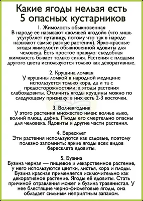 Пин от пользователя Любовь Козлова на доске Блестящие губы в 2023 г |  Блестящие губы, Губы, Имена