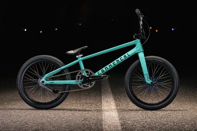 10 Reasons to/NOT to Buy Sullivan Raid Mini BMX (Jan 2024) | BikeRide