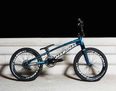 Chimera Electric BMX (Titanium) – Chimera BMX