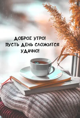 ☕️🍬 Доброе утро! Я угощу Вас Чаем из Мечты... Утренний позитив для друзей!  - YouTube