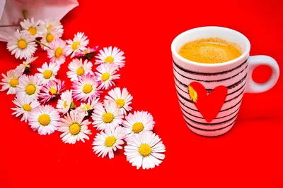 Осень кофе цветы - 60 фото