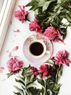 Фото Чашка кофе с молоком на блюдце на столе рядом с цветами, by  Lardecoramado