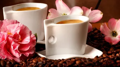 кофе цветы, чашка кофе, чашка кофе и цветы, утренний кофе, кофейная чашка,  Свадебный фотограф Москва