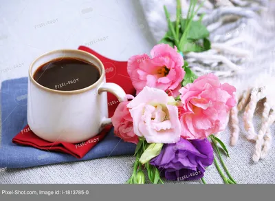 Утренний кофе | Tableware, Glassware, Mugs