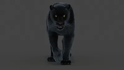 Что нужно знать о «Черной Пантере» — 