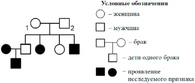 Черные и цветные металлы: различия и области применения - Блог Станкофф.RU