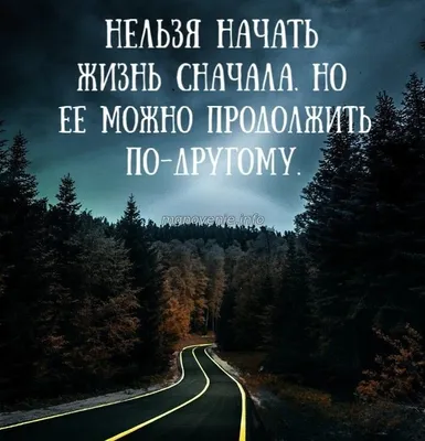 Иллюстрация 28 из 29 для С чистого листа - Дженнифер Нивен | Лабиринт -  книги. Источник: Хароро