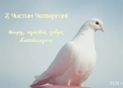 Чистый четверг: поздравления, открытки, картинки — Украина — 