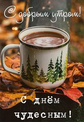 С новым чудесным днем!.