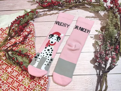 Новогодние розовые носки с далматинцами NAUGHTY 36-41 размер LEONORA  (ID#1320984758), цена: 122 ₴, купить на 