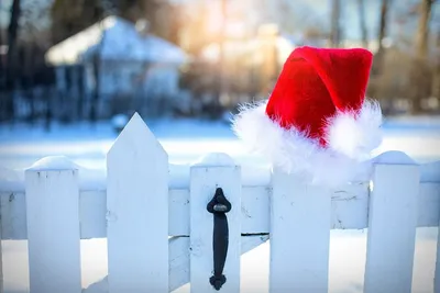 Дед Мороз и Снегурочка на Новый год — 2024: сколько стоит, что в программе  | РБК Life