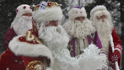 Один с рогами, другой – с гармошкой: топ-10 фотографий с шествия Дедов  Морозов в Новосибирске - 