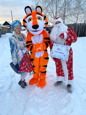 Мы дарим веру в чудо»: Дед Мороз и Снегурочка из Ярославля об отношении  детей к празднику |  | Яркуб