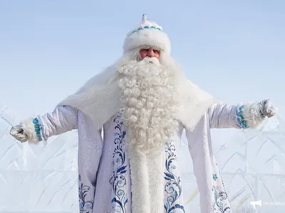 Катание на санях с Дедом Морозом и Снегурочкой от event-агентства MARVEL