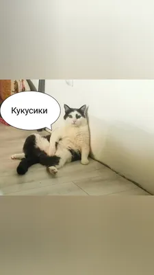 Смешные картинки