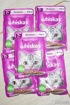 Корм для кошек Whiskas 7+ рагу ягненок - «4 кота и Вискас, рагу ягненок.  Демотиваторы с котиками. » | отзывы