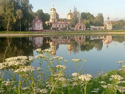 мармеладный рисунок. бесшовный фон с сладкими детишками. бесконечная  текстура с фруктовыми жвачками. смешной Редакционное Фотография -  иллюстрации насчитывающей плодоовощ, малыши: 236339987