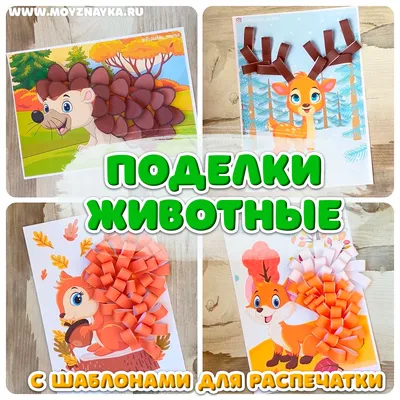 Обнимашки с дикими животными в парке Диприз / Лучший парк животных Беларуси  - YouTube