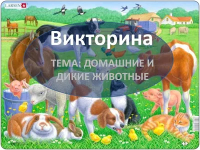 Игра на липучках - Теневое лото "Дикие животные"