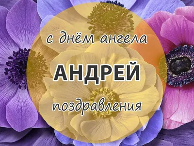 С Днем ангела Андрея: оригинальные поздравления с именинами в стихах,  открытках и картинках — Разное