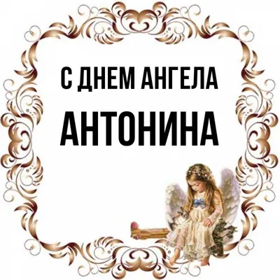 Картинки "Именины Антонины" (50 открыток) • Прикольные картинки KLike