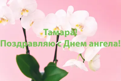 День ангела Тамара - поздравления, картинки и открытки на именины Тамары -  Телеграф