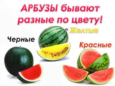 Сегодня отмечается один из вкусных праздников в мире – Международный день  арбуза. |  | Новости Уфы - БезФормата