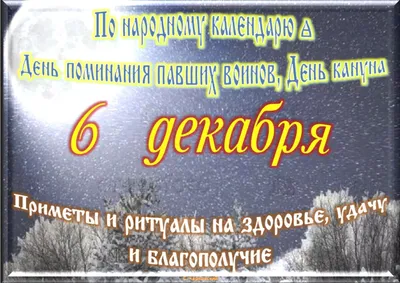 2 декабря - День пушистой нежности - Лента новостей Мелитополя