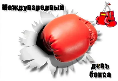 Сегодня отмечают Международный день бокса / Новости / Богородский городской  округ Московской области