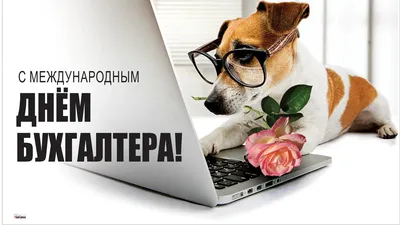 21 ноября в России отмечается профессиональный праздник - День бухгалтера -  Лента новостей Мелитополя