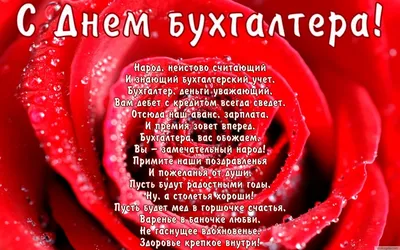 21 ноября – День бухгалтера!