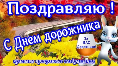 День автомобилиста и дорожника Украины: поздравления и забавные картинки -  «ФАКТЫ»