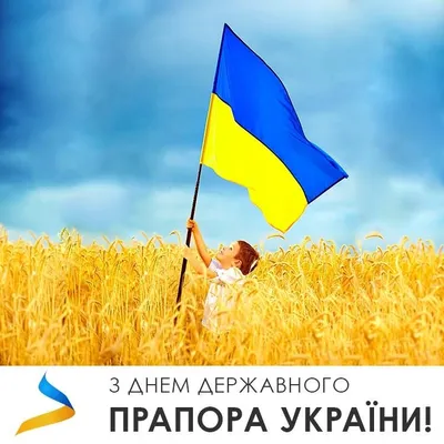 С Днем флага Украины поздравления в стихах и прозе патриотические -  картинки, открытки, видео, смс | 