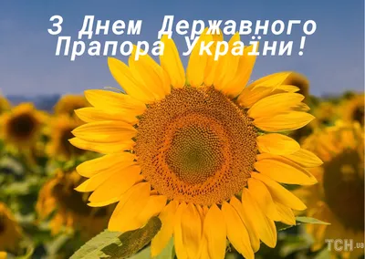 С Днем Государственного Флага Украины 2023: поздравления в прозе и стихах,  картинки на украинском — Украина